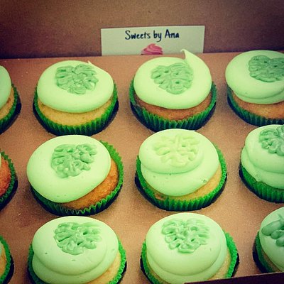 Custom Mini Cupcakes 