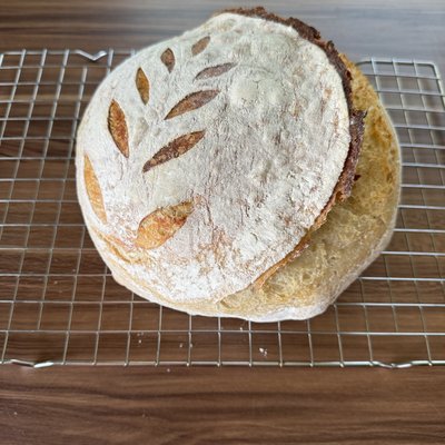 Sourdough plain loaf