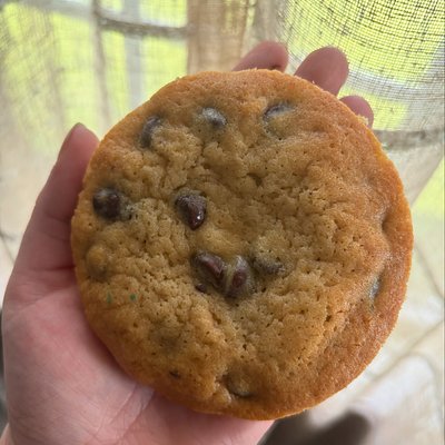 Chocolate Chip Cookies 6ct