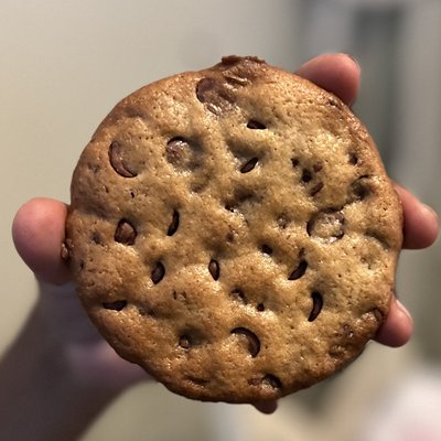 Sourdough Chocolate Chip Cookies 