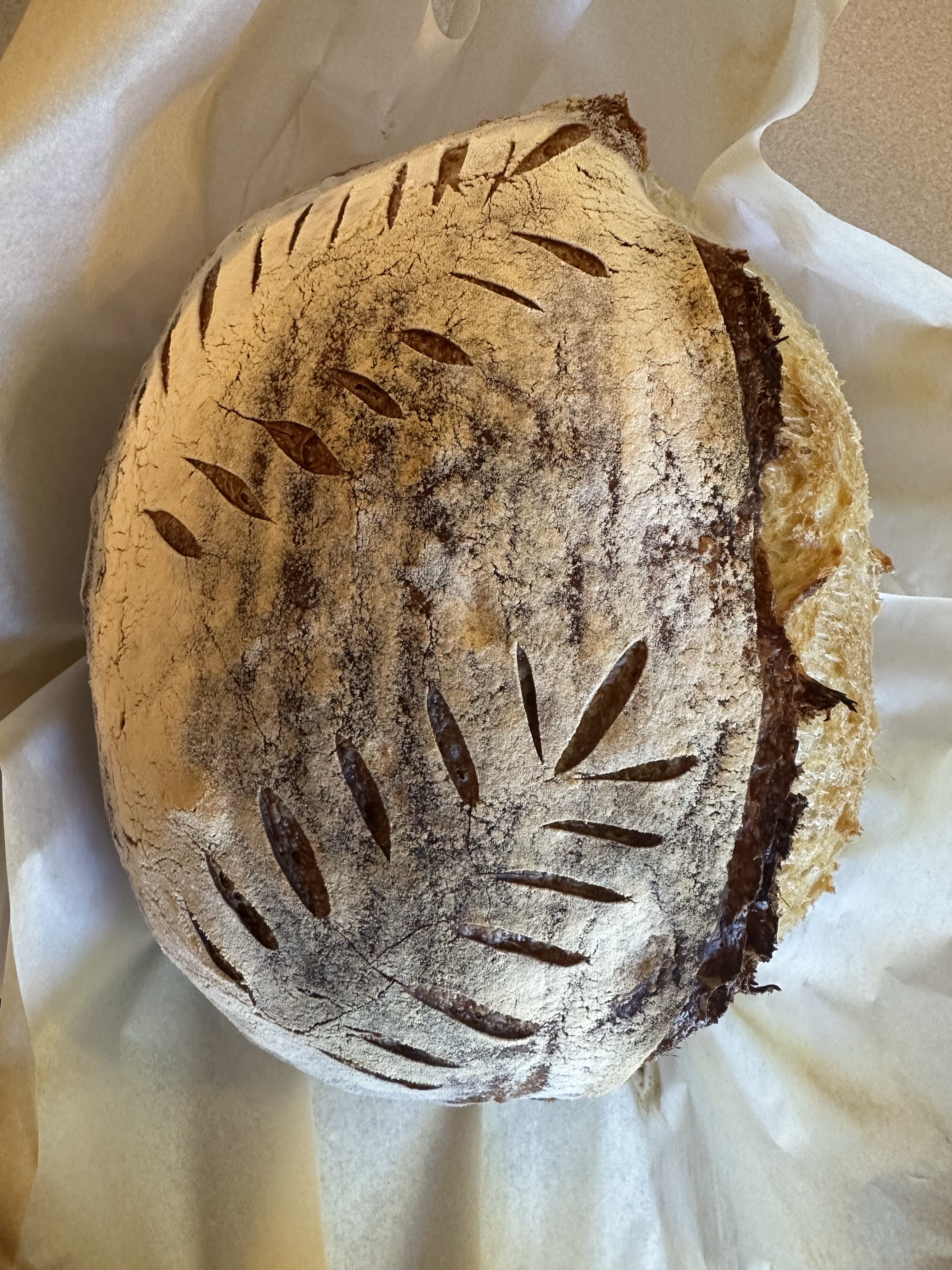 Plain Sourdough Loaf