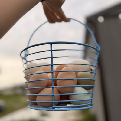 Farm Fresh Free Range Duck Eggs (dozen) 