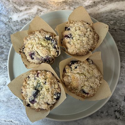 Blueberry Sourdough Muffins 
