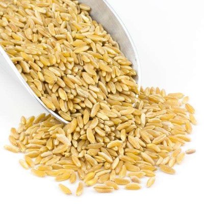 Kamut Freshly milled flour