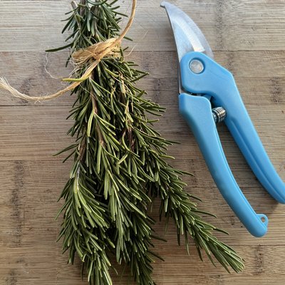 Fresh Rosemary Bundles