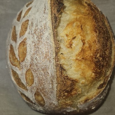 Sourdough Loaf 