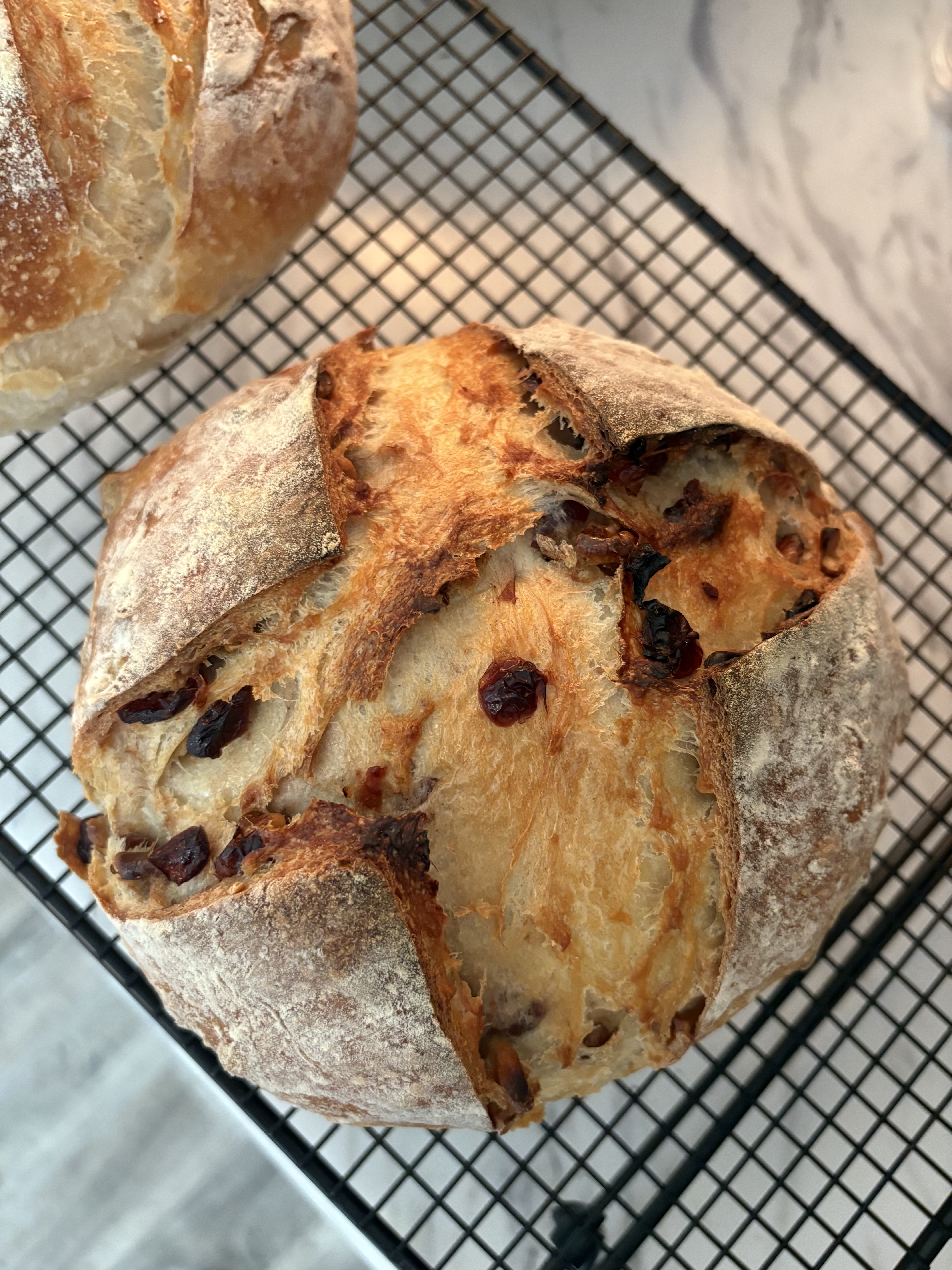 Sourdough Cranberry + Walnut Loaf 