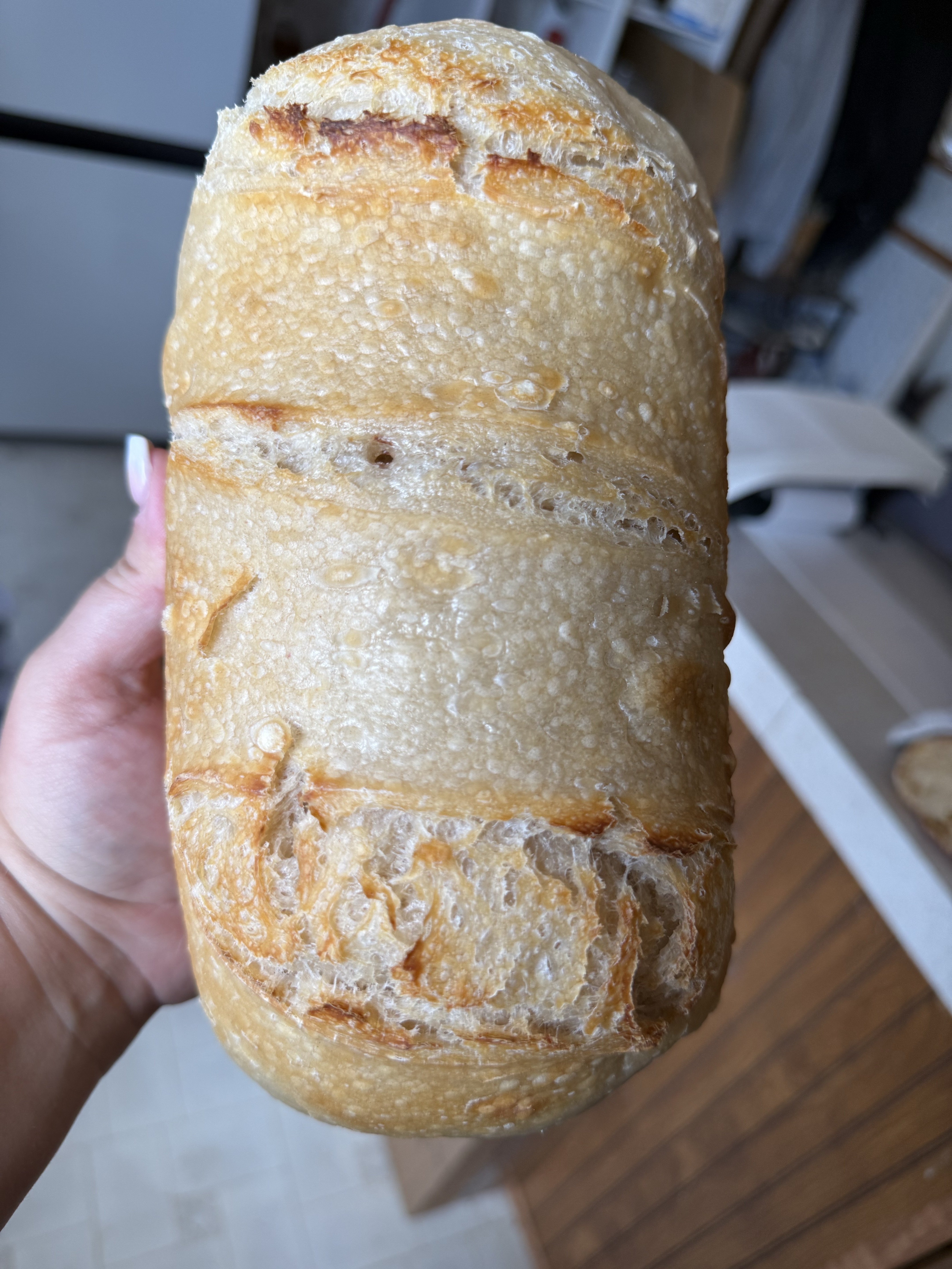 Plain Sourdough Loaf