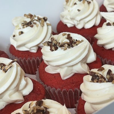 Basic  Cupcakes 