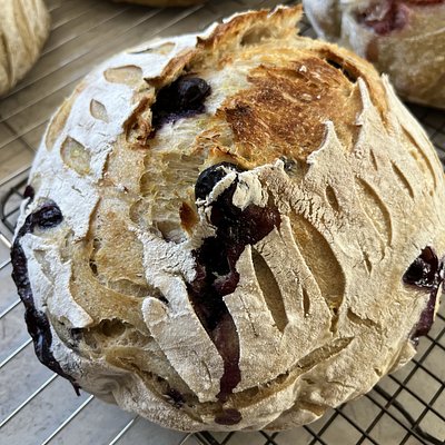 Lemon Blueberry Sourdough 