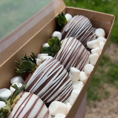 6ct Regular Dipped Berries 
