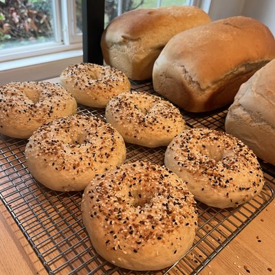 Everything Bagels~Packs Of 4