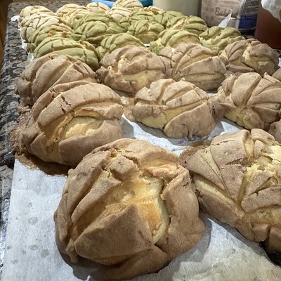 Chocolate Sourdough Conchas 8ct