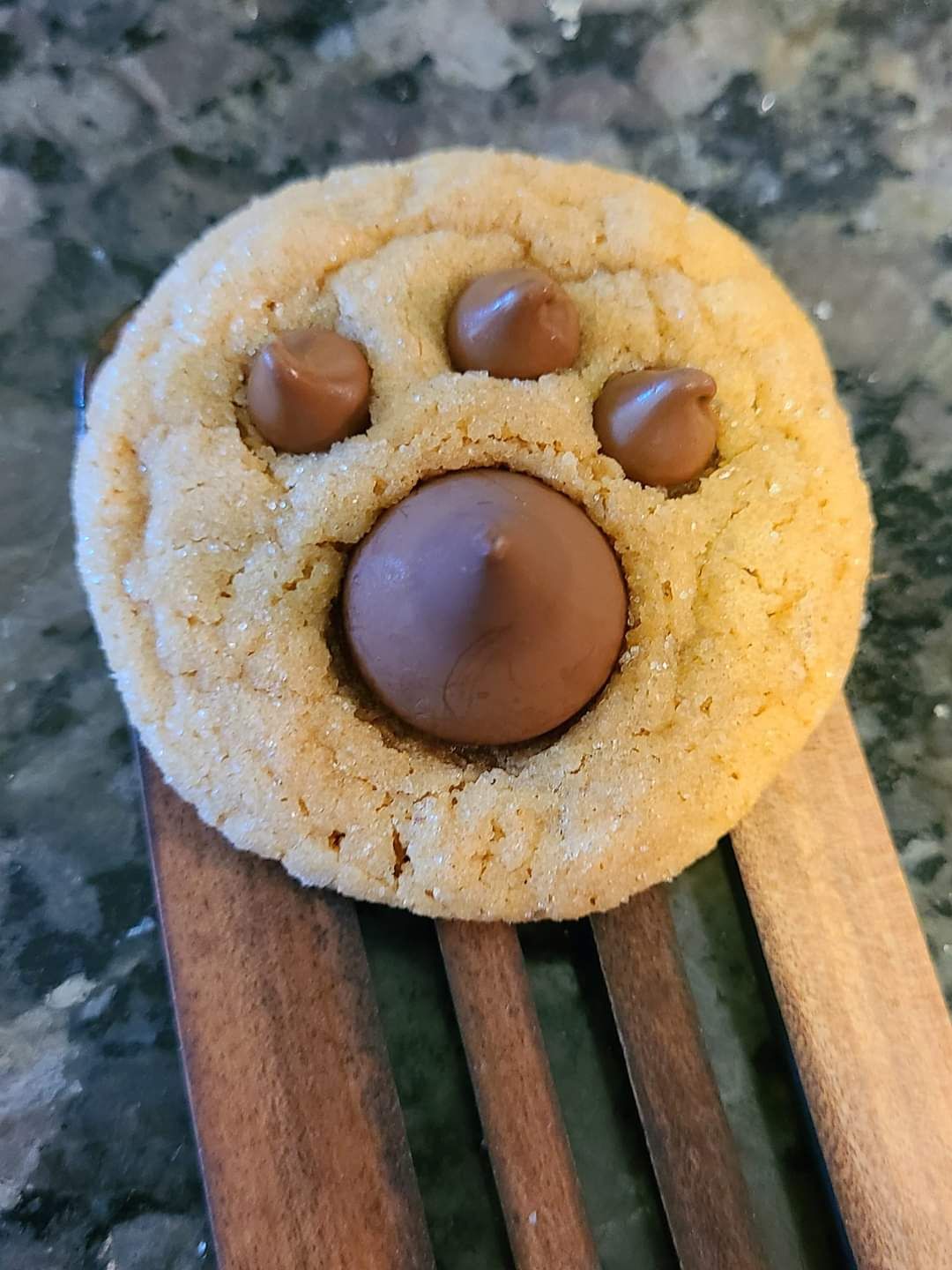 1 Dozen Paw Print Peanut Butter Blossom Cookies