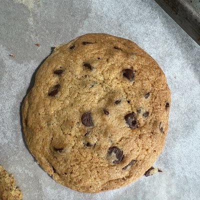 Chocolate Chip
