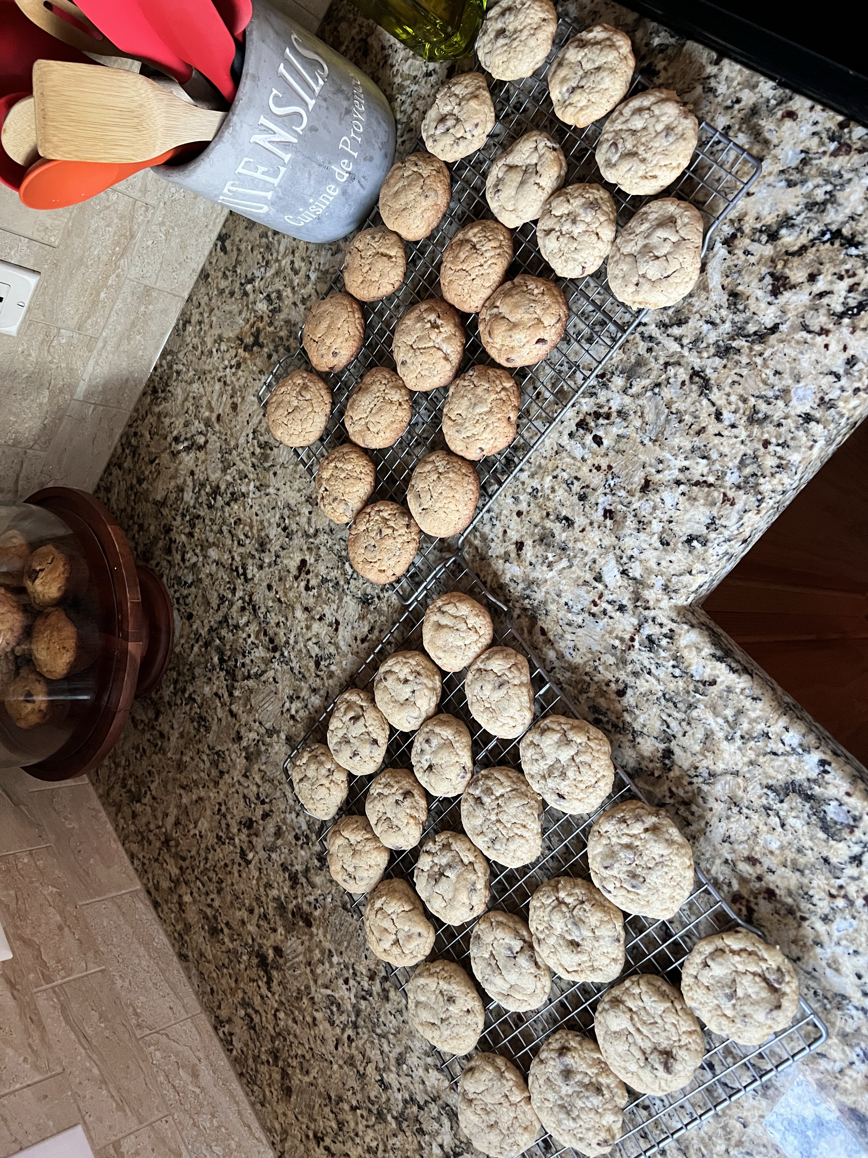 Sourdough Chocolate Chip Cookies
