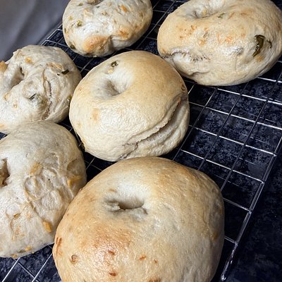 Cheddar Jalapeño Sourdough Bagels