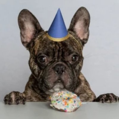 Pup Party Pack 