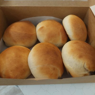 Yeast Rolls 