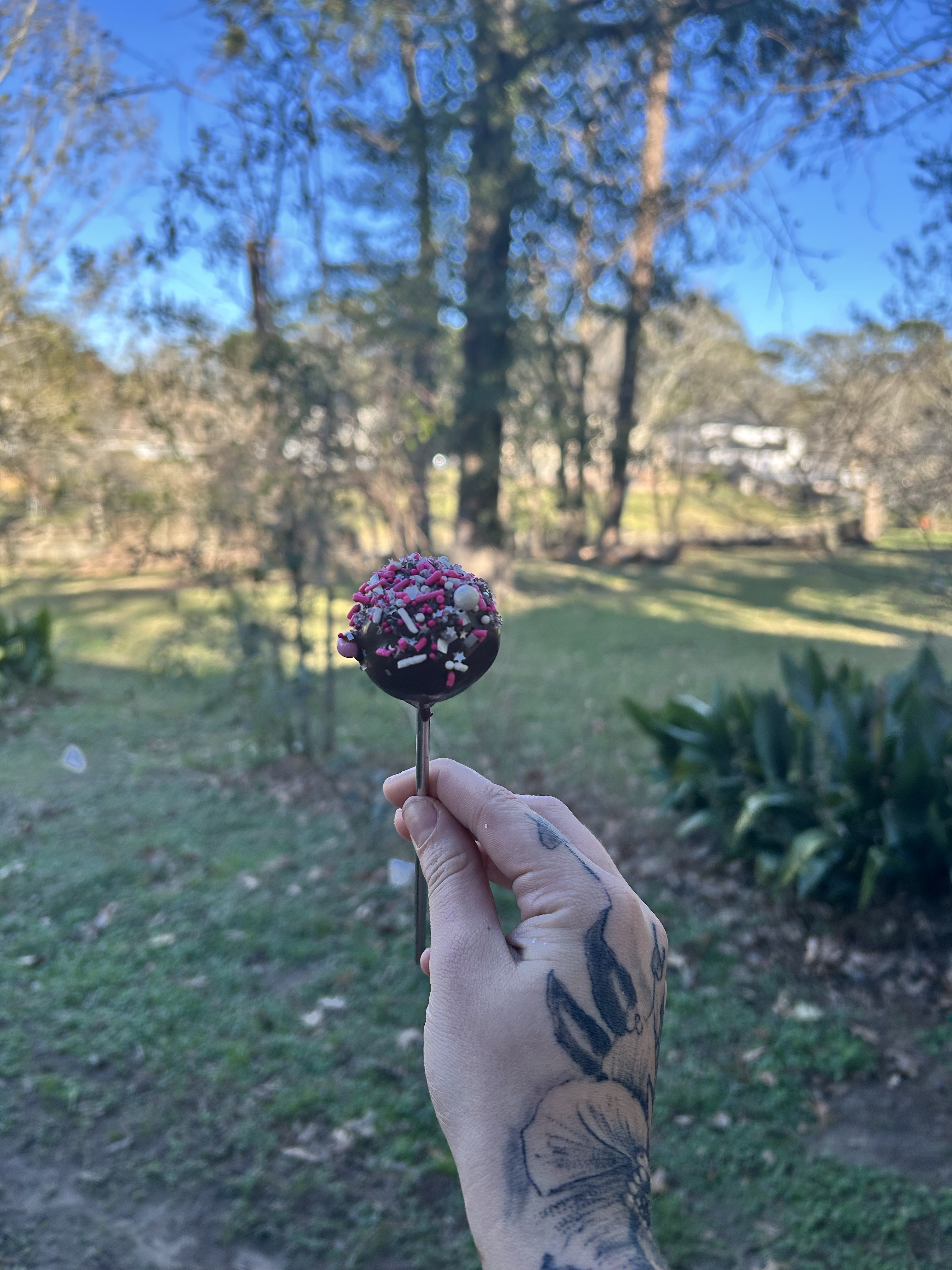 Strawberry Chocolate Cake Pop