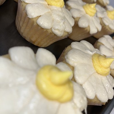 Mini Cupcakes 