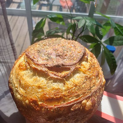 Italian Parmesean 