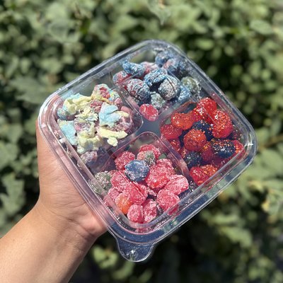 Gushers Mixed Tray 