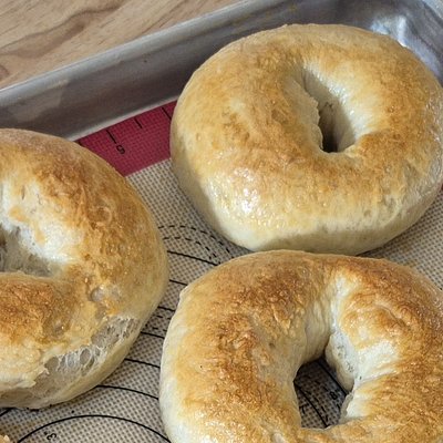 Plain Sourdough Bagels