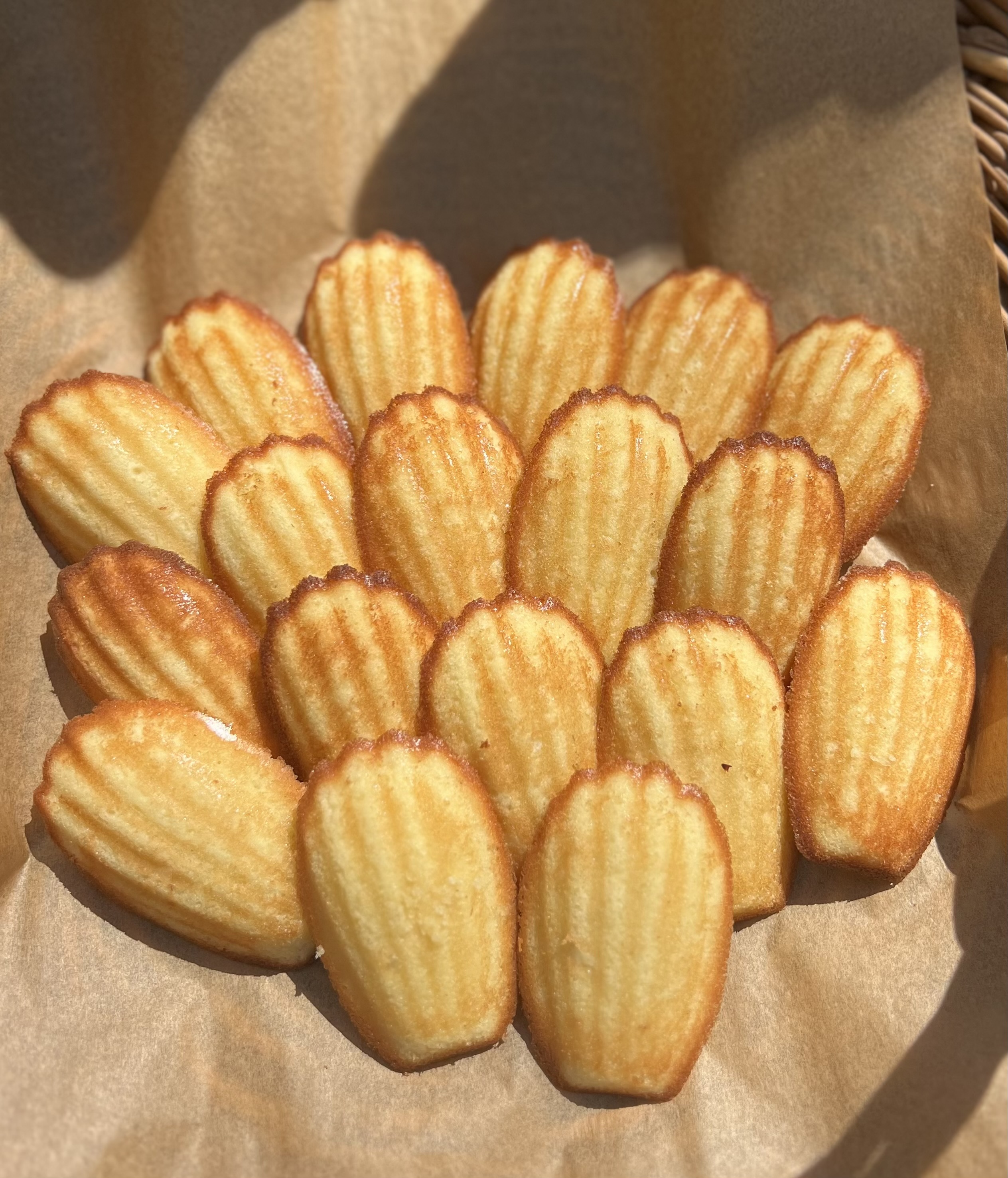 Madeleines (12)