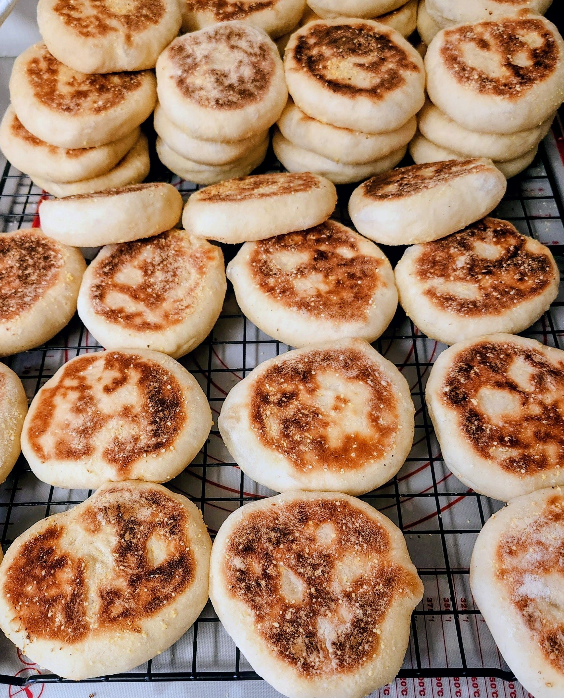 English Muffins 