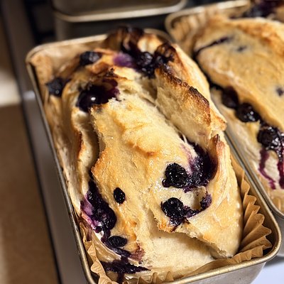🫐blueberry lemon sourdough