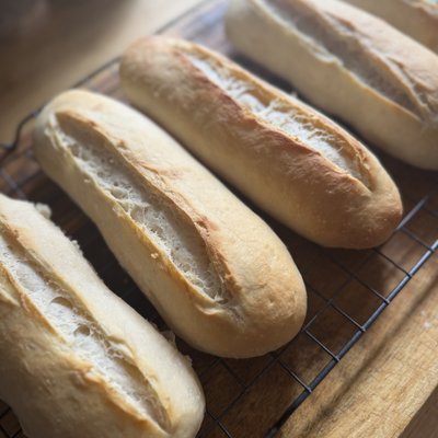 Sourdough Sandwich Rolls (Half Dozen) 