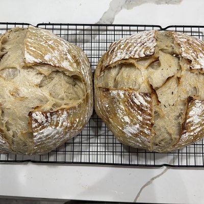 Roasted Garlic & Rosemary Sourdough