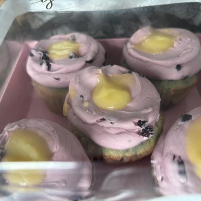 Wild, blueberry, lemon curd cupcakes, or muffins
