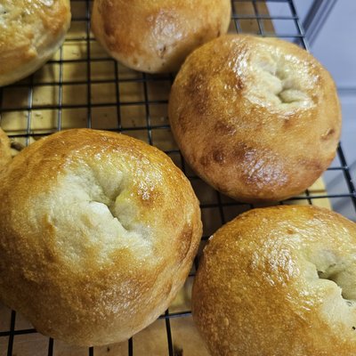 Sourdough Bagels 1/2 Dozen(6) Plain