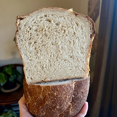 Sandwich Loaf
