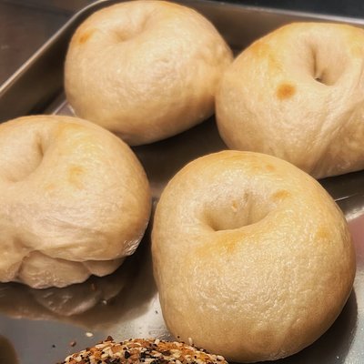 Plain Sourdough Bagels