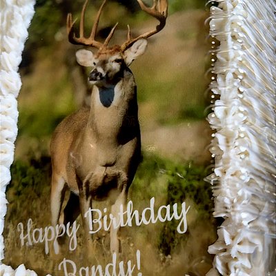 Decorated Cakes! Edible Image Available. *Decorated Picnic Style Available Too! With See Through Lid  Also Available! Any Occasion!