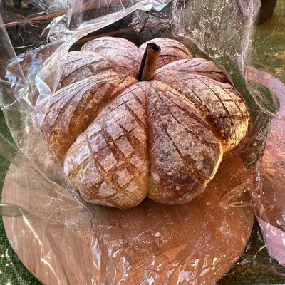Sourdough Pumpkin Shape 1.8 Pounds