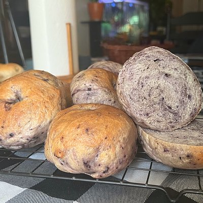 Blueberry Bagels (6 Count)