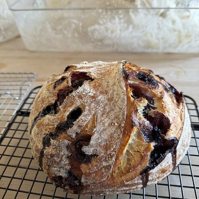 Lemon Blueberry Organic Boule