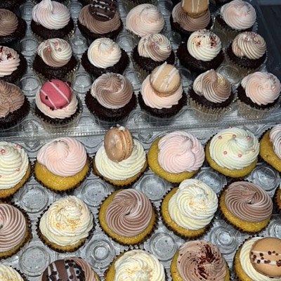 48 Speciality Cupcakes 