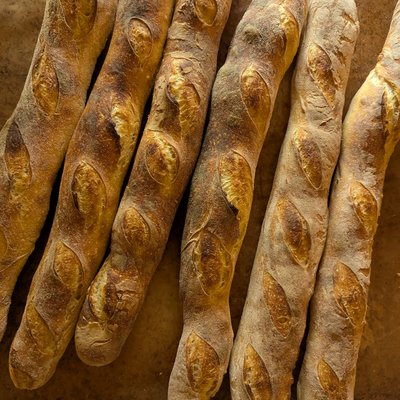 Sourdough Baguette