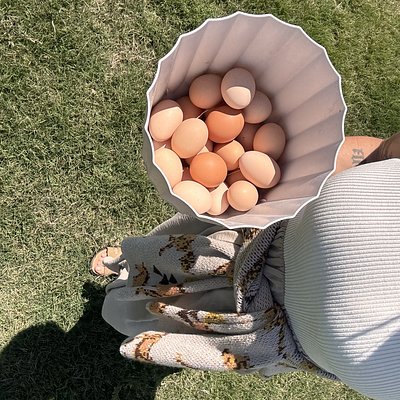 🥚 Pasture Raised Eggs
