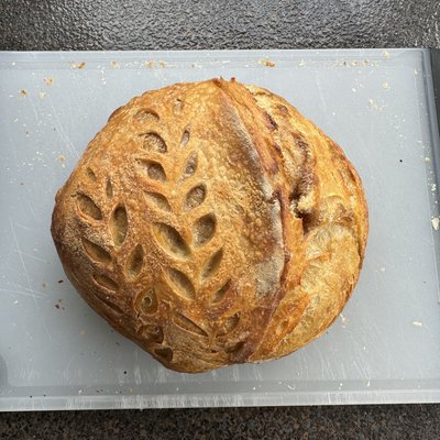 Cinnamon & Brown Sugar 6”