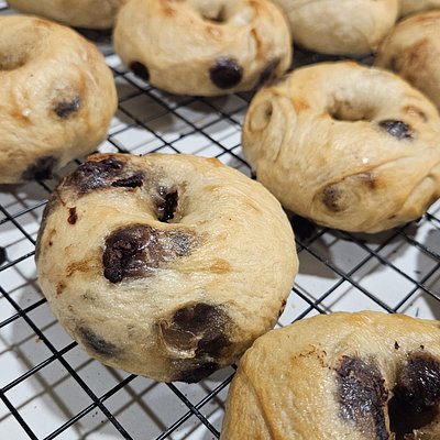 Chocolate Chip Sourdough Bagels (4)