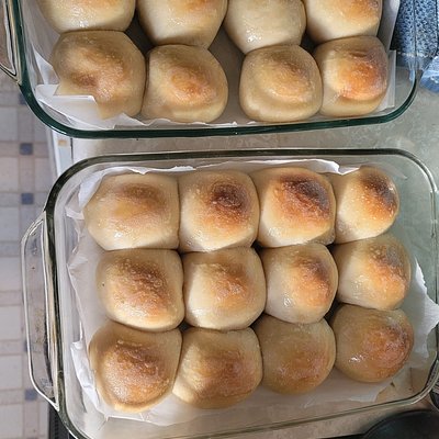 Dinner Rolls