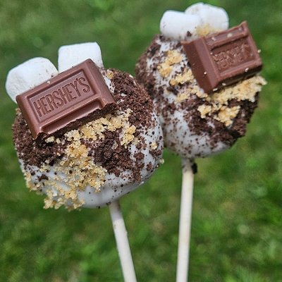 S'mores Cake Pops (6)