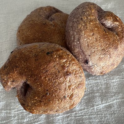 Blueberry Bagel 3 Pack