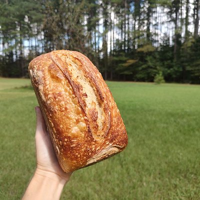 Traditional Artisan Sourdough 